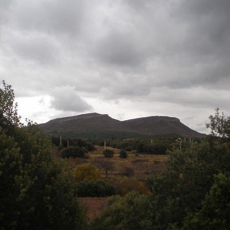 Vivienda Turistica El Ciclamen Διαμέρισμα Mora de Rubielos Εξωτερικό φωτογραφία